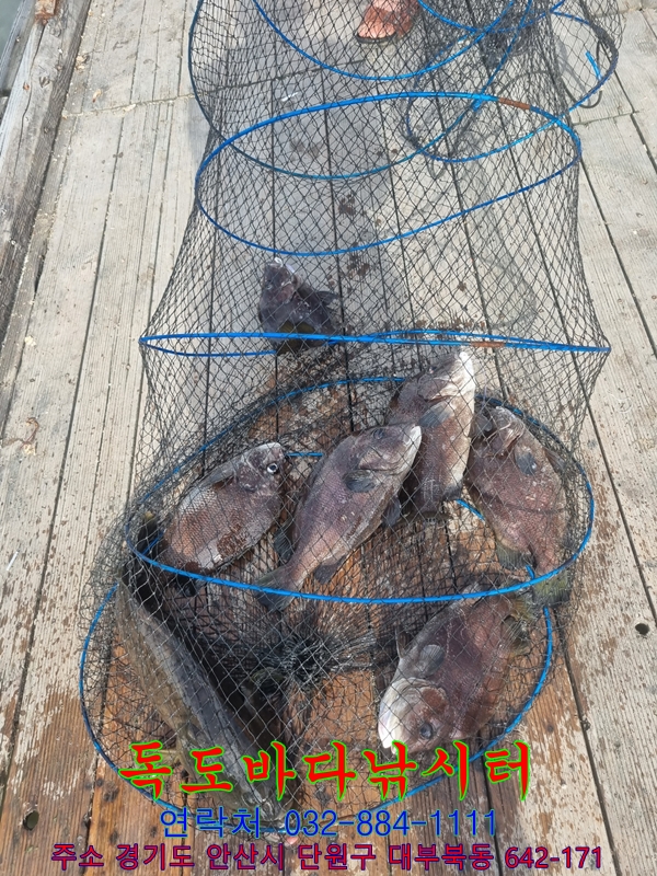 31.jpeg
