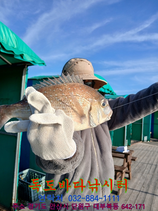 35.jpg